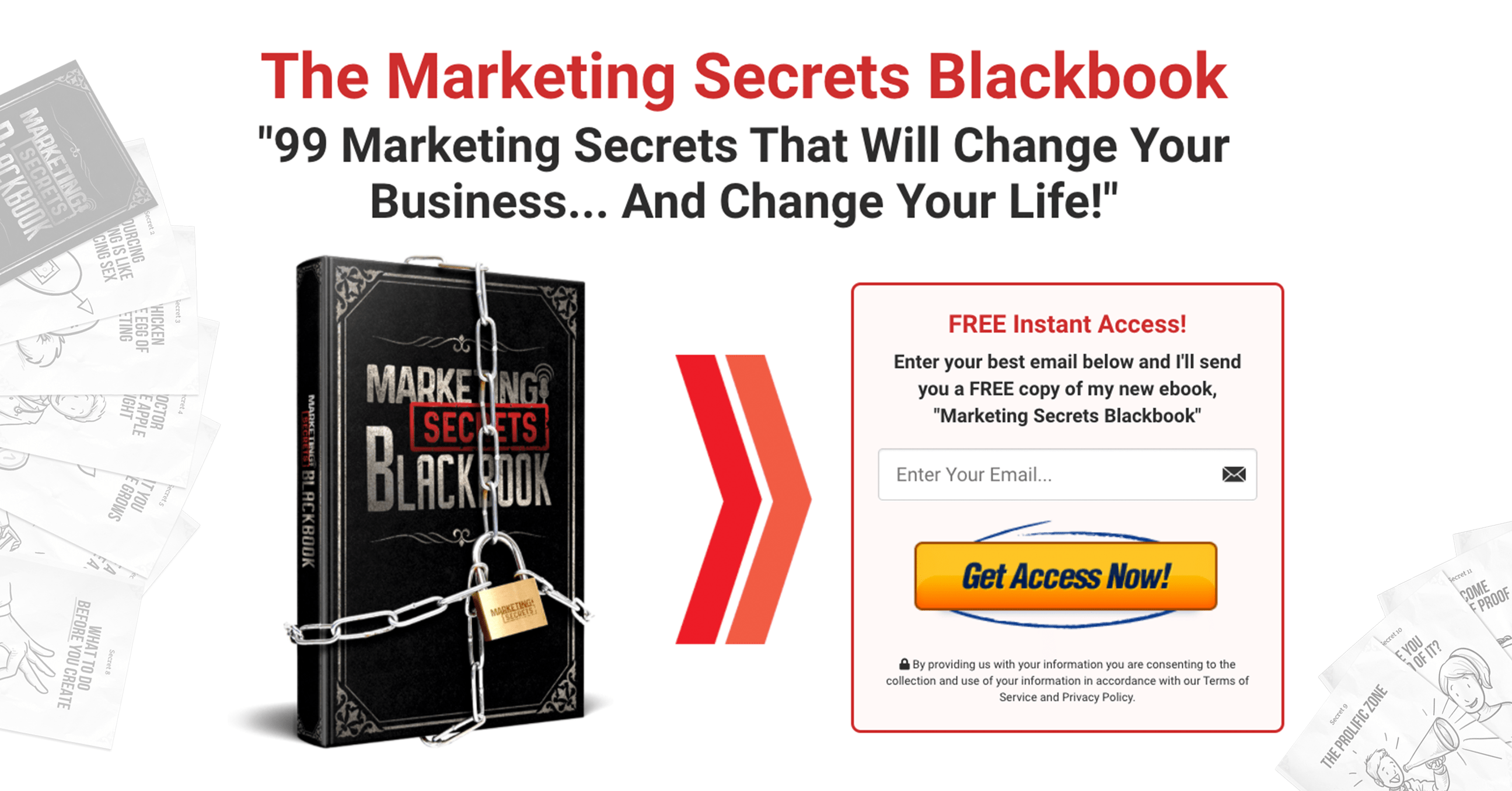 marketing blackbook project
